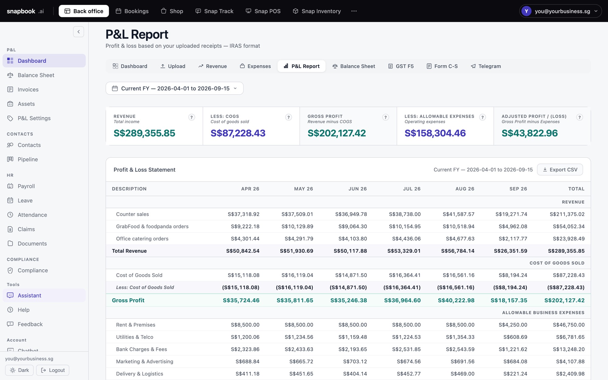 The app.kevinchia.sg P&L report: revenue, cost of goods, gross profit and each expense, month by month